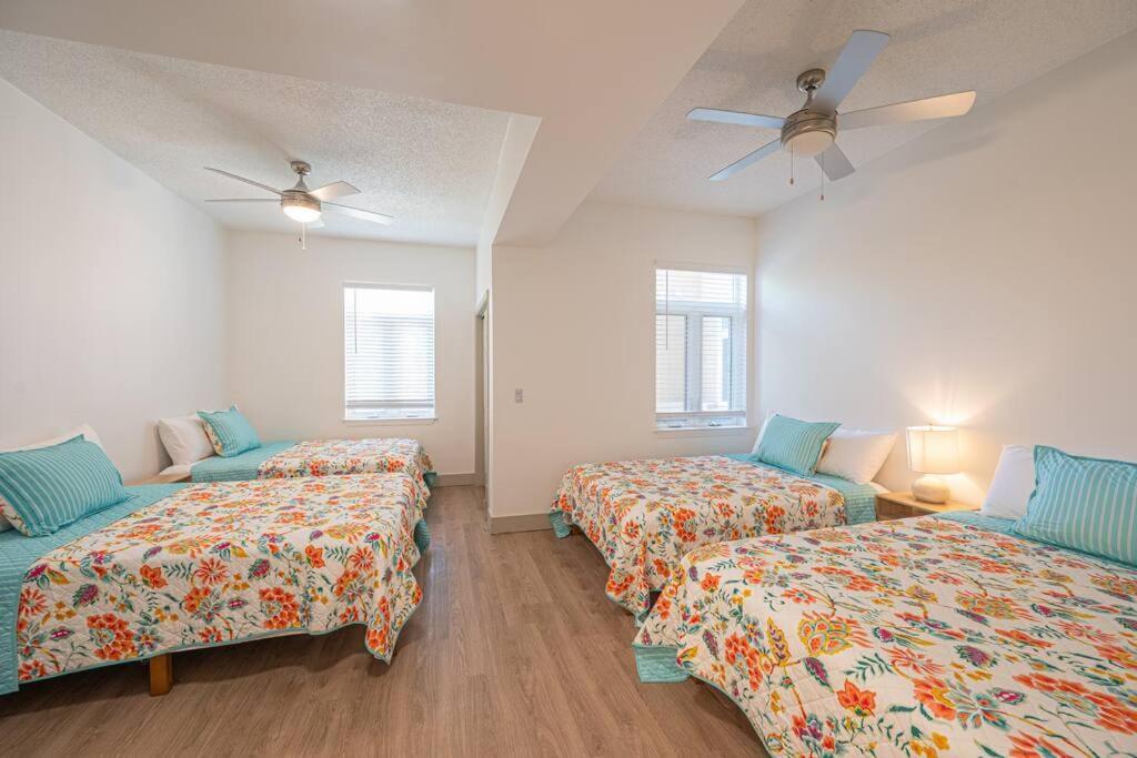 Queen Classic Apartamento *