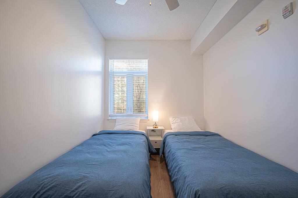 Queen Classic Apartamento
